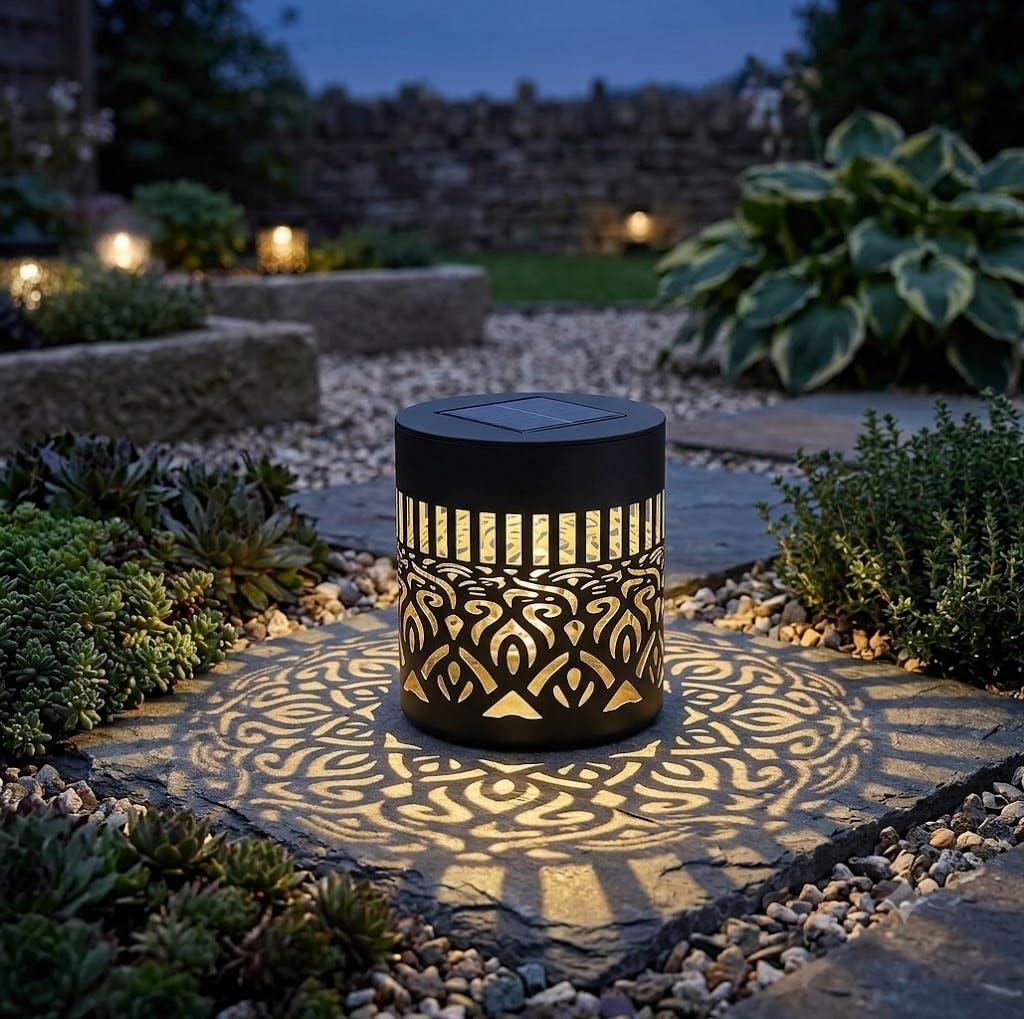 25311